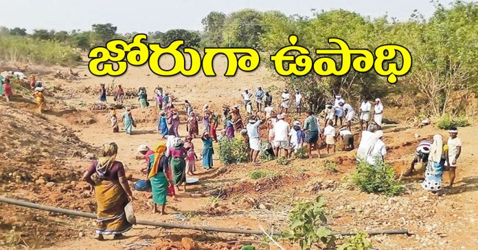 'Employment' in full swing