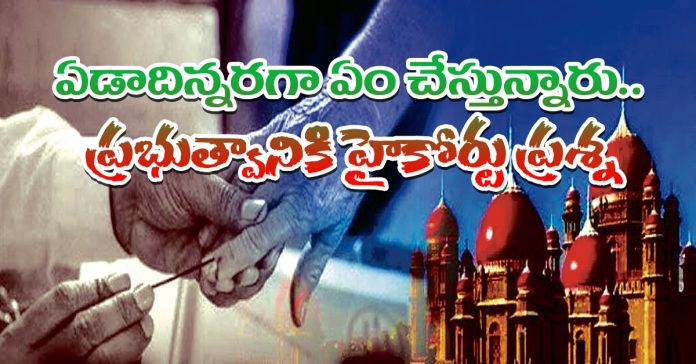 When will local elections be held?