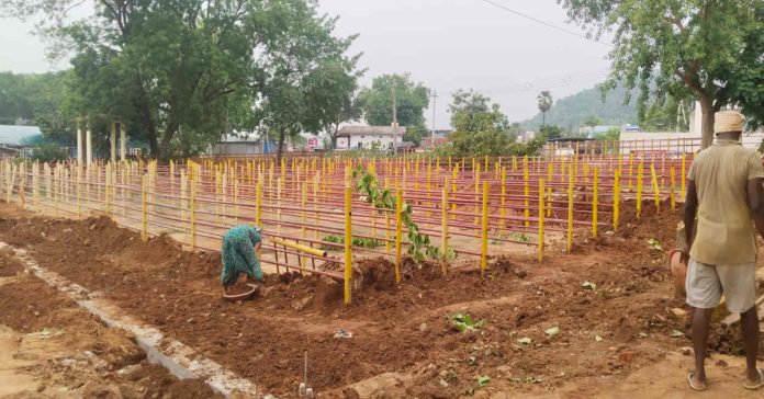 Construction work of sheds in Medaram, Nathanadakana