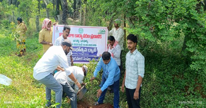 Environment Day under the auspices of the Municipal Council