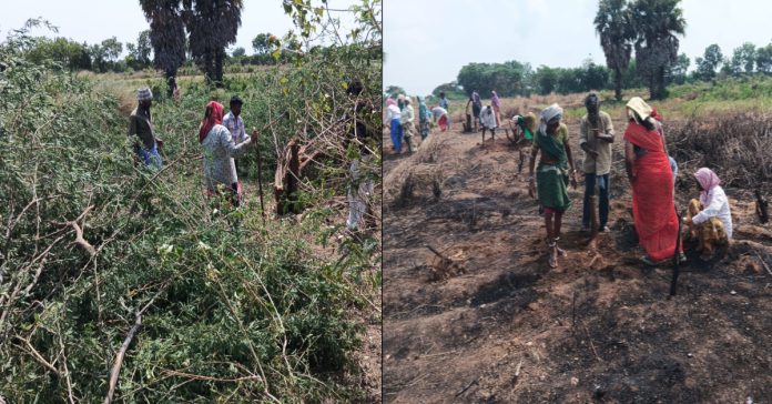 Farmers are satisfied with employment guarantee works..