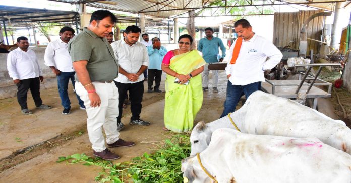 Rajanna Kodela should be ensured to avoid any problems: Collector