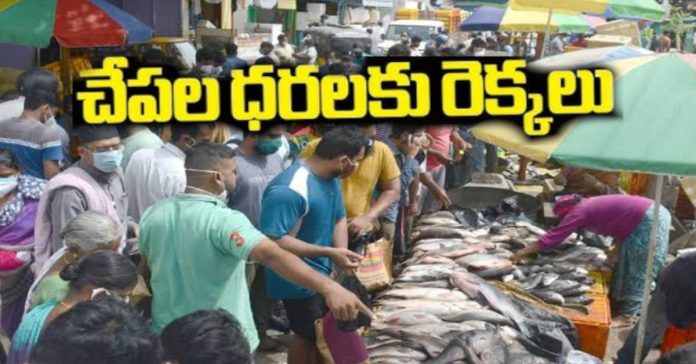 The beasts head effect.. People who are attracted to fish..