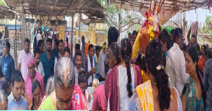 The hustle and bustle of devotees in Medaram..