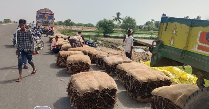 The tobacco farmers wall... no one listens