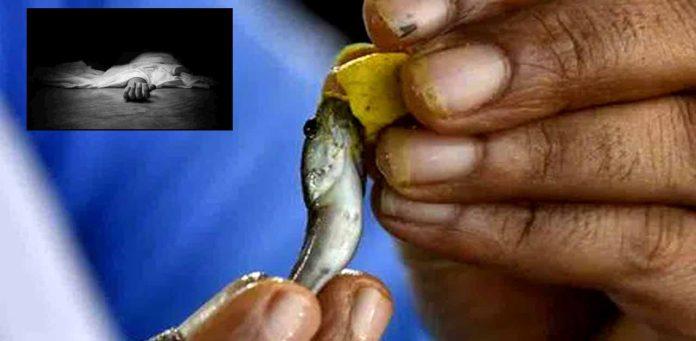 Disagreement in the distribution of fish prasadam..