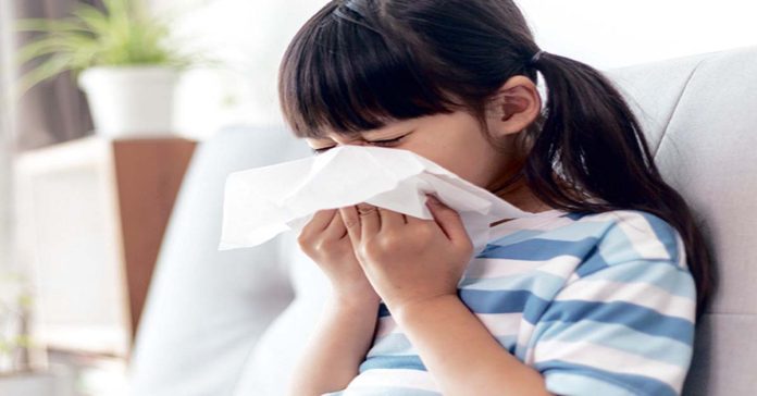 dust allergies