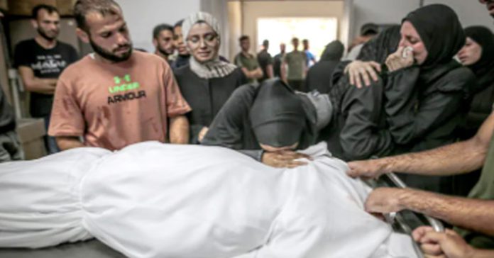 gaza