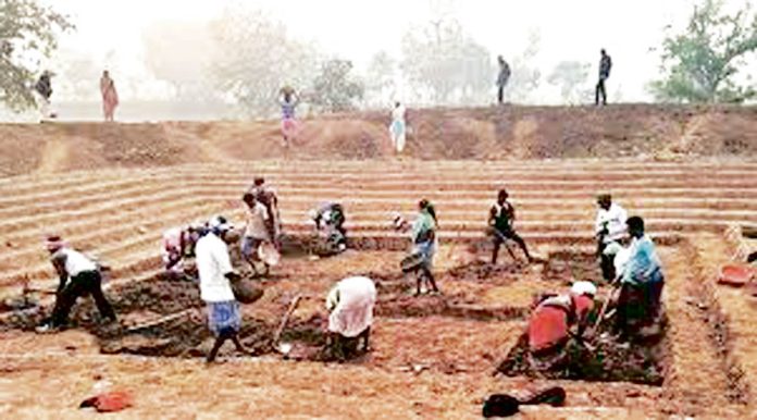 Rs 5.23 lakh crore for 'Employment'