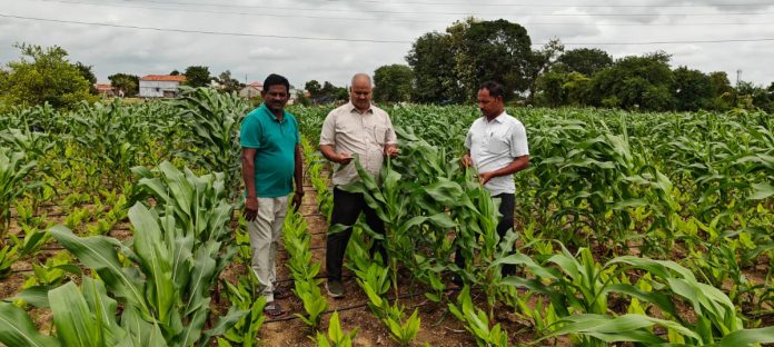 Agricultural officials inspected the crops
