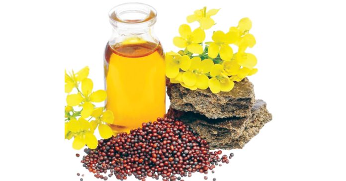 There are many benefits of mustard oil...