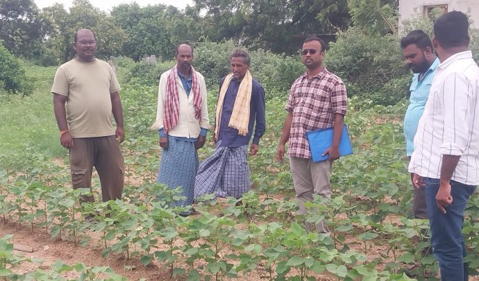 Checks on urea stocks..