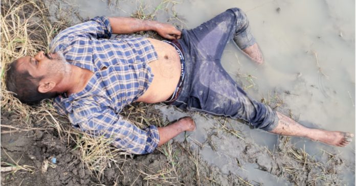 Farmer dies of electric shock