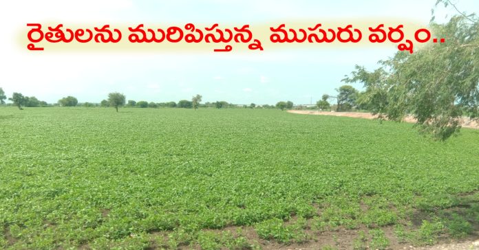 Heavy rains are plaguing farmers..