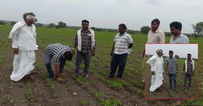 Mandal agricultural officer inspecting