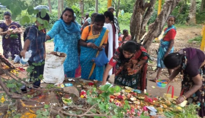 Nagula Panchami celebrations in full swing!