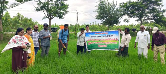 Nano urea should be used instead of urea: ADA P. Ravi Kumar