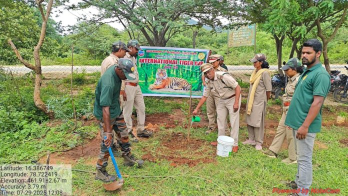 National Tiger Day celebrated in Amrabad Tiger Reserve Forest..