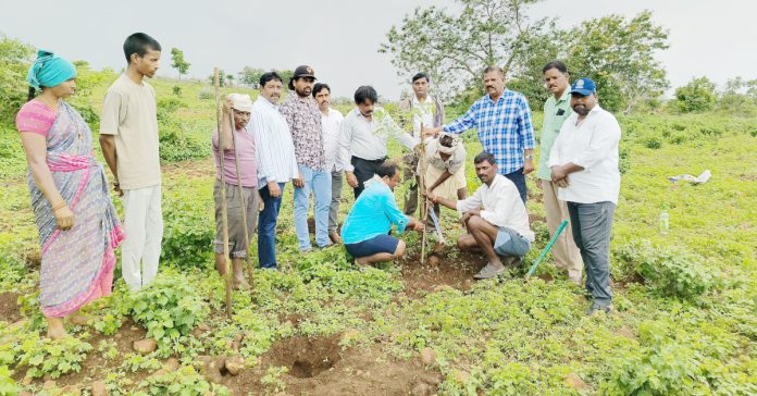 Officials who planted saplings