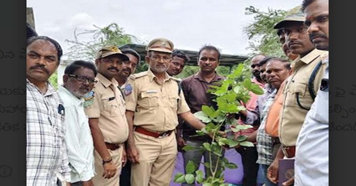 Forest officials