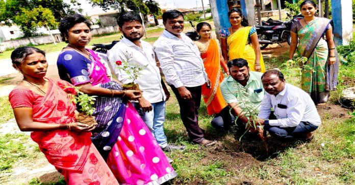 Teachers planted saplings during Vanamahotsavam.