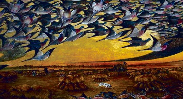 May the world's dove flourish.