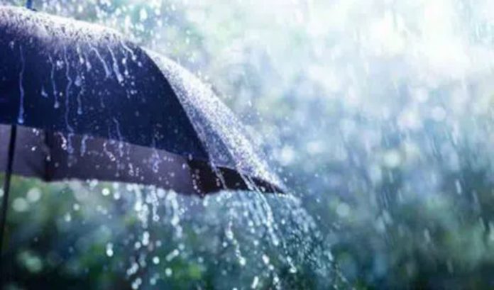 10.2 millimeters of rainfall in the mandal