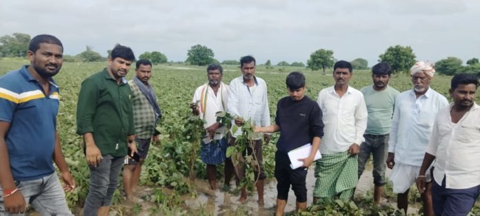 AO officer Raju inspects submerged crops