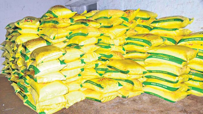 Adequate urea reserves for cultivation: AO Afzal Begum