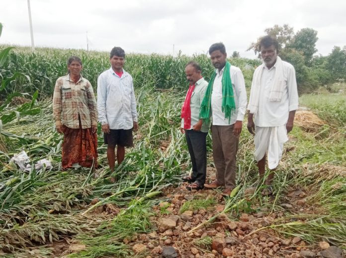 Farmers affected by heavy rain should be given Rs. 25,000 per acre: Vyakasa