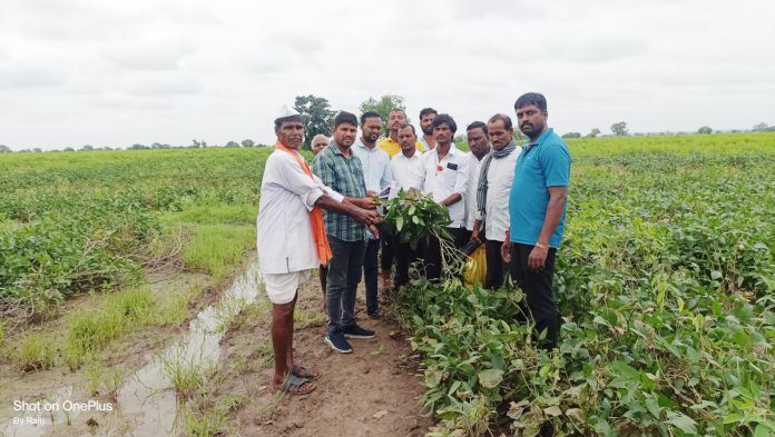 King Ao inspects flood-affected crops