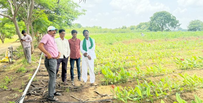 Kotapati visits Turmeric Research Center