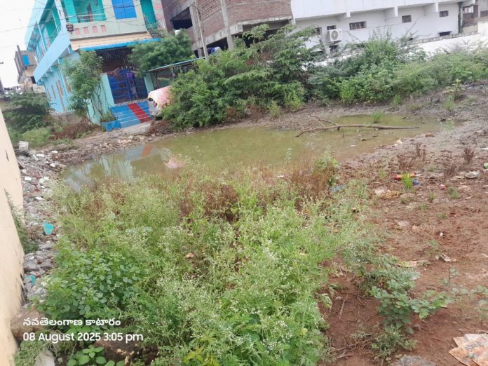 Mosquitoes are mosquitoes.. There is no fogging in the mandal.