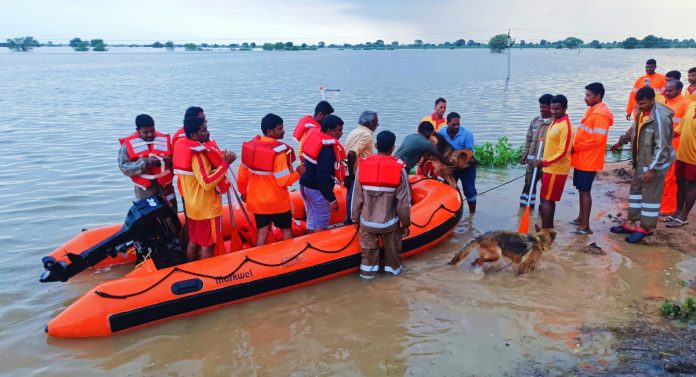 Rescue team saves workers trapped in Godavari flood