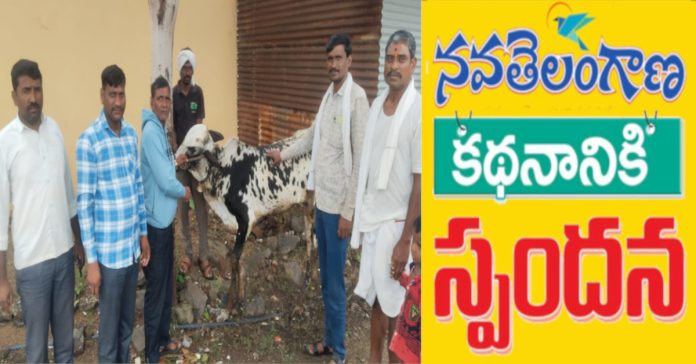 Response to the Navatelangana story..