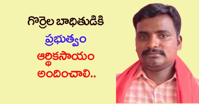 The government should provide financial assistance to the victim of the sheep.