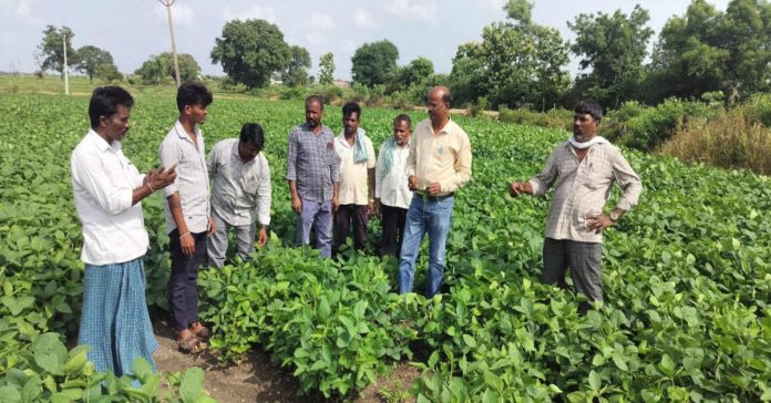 Farmers should take appropriate measures to prevent crop pests…