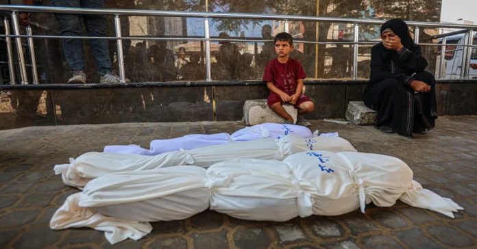 gaza hunger