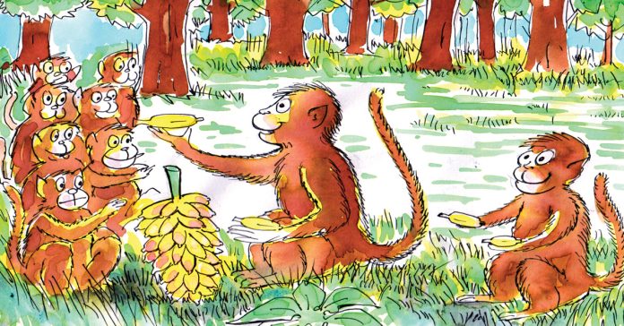 Lame monkey