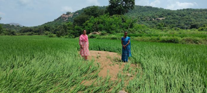 AEO Sangeetha inspects sand dunes