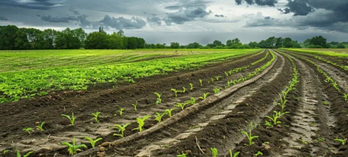 Current conditions Weather based agricultural advisories