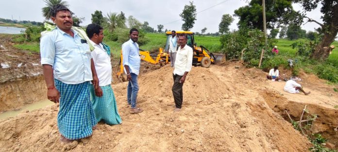 Farmers who have repaired their crops