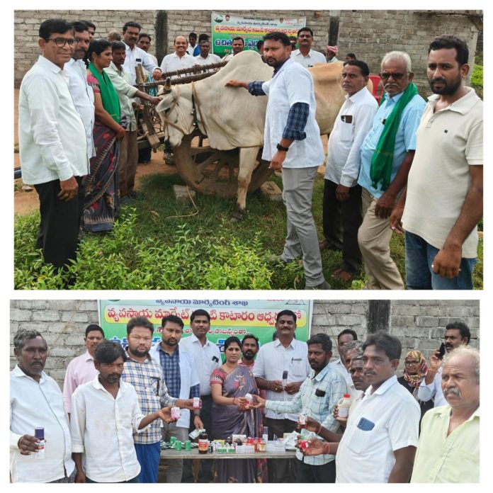 Free veterinary camp organized by AMC