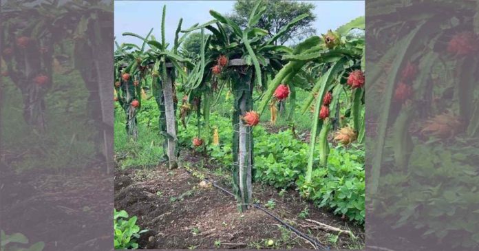 Horticulture Department
