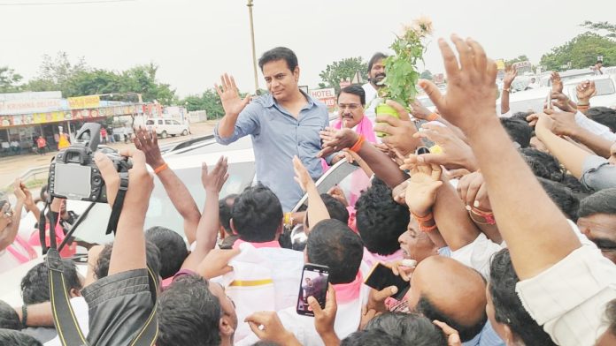 KTR was given a grand welcome by the pink rows