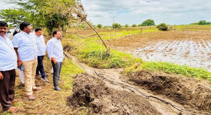 MLA inspects crops in the outskirts of Gojegaon.