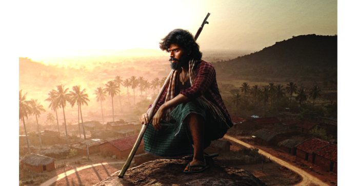 'Maremma' with an innovative concept