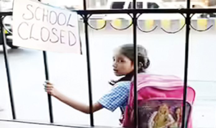 How many government schools have closed?