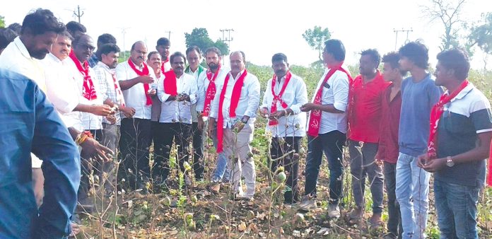 Compensation of Rs. 50,000 per acre should be given.