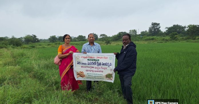 A team of scientists inspected seed production fields